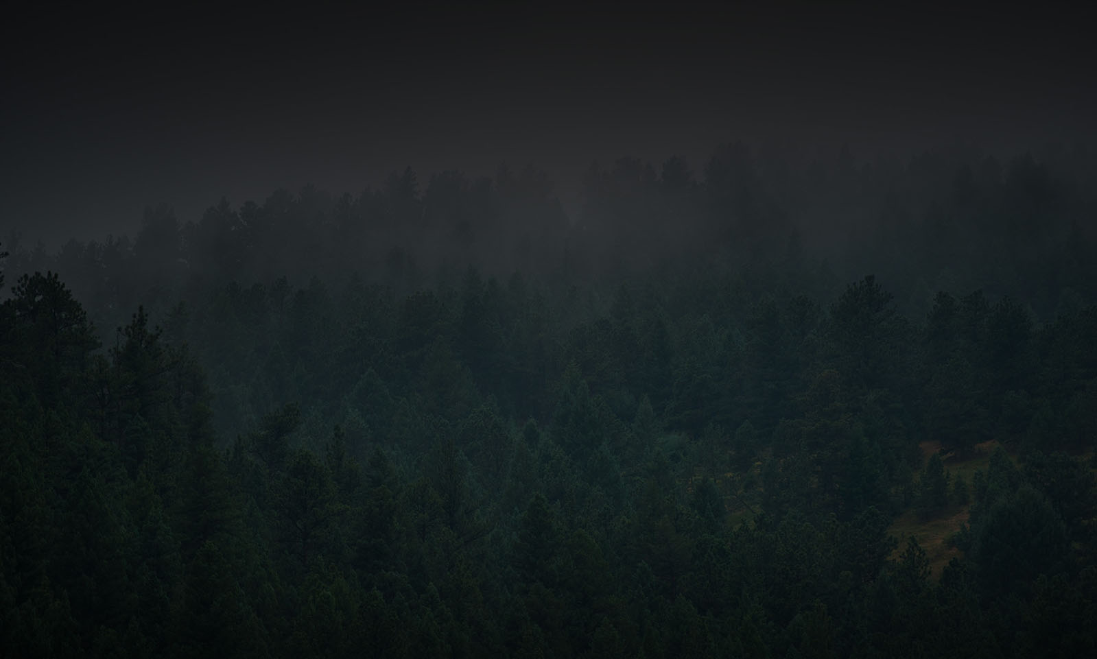 bg img